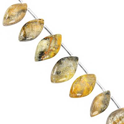 95cts Bumble Bee Jasper Smooth Marquoise Approx 15x7 to 22x15mm, 13cm Strand With Spacers