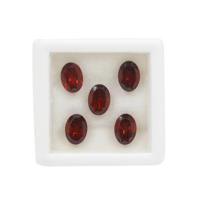 3.20cts Garnet Oval Approx 7x5mm Pack of 5 (N)