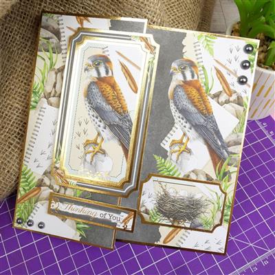 Botanical Birds Luxury Card Inserts