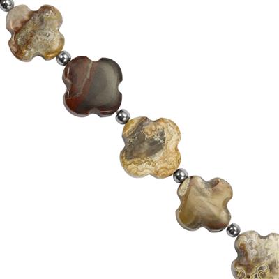 65cts Crazy Lace Agate Carved Clover, Approx 11 to 15mm 14cm Strands With Hematite Spacers 