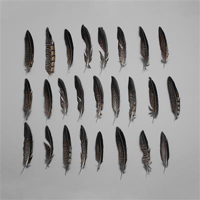 Pheasant Natural Feathers Approx 10-15cm 25pcs/ set