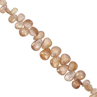 50cts Champagne Zircon Top Side Drill Faceted Pear Approx 4x3 to 9.5x6mm, 16cm Strand