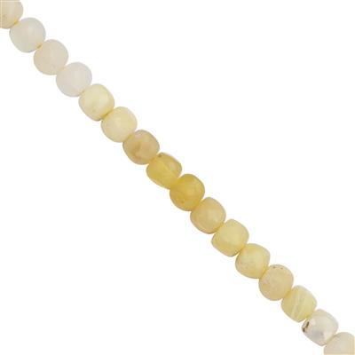 30cts Shaded Yellow Opal Faceted Cube Approx 4mm, 25cm Strand