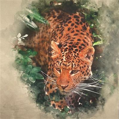 Leopard Canvas Art Panel Approx (0.47m x 0.47m)