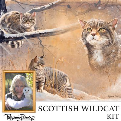 Pollyanna Pickering's The Scottish Wildcat Digital Kit 