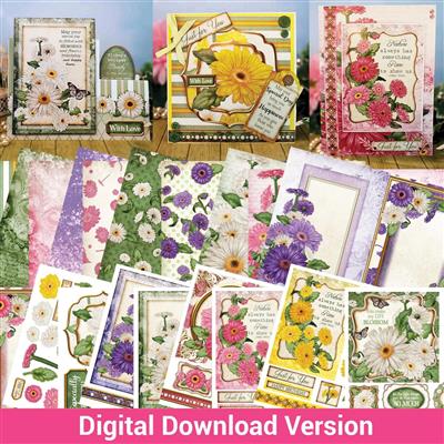 Digital Download Collection - Gerbera Delights - 40 designs