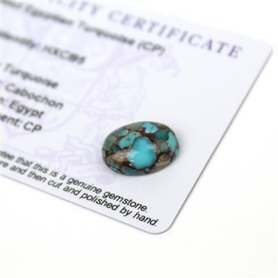 5.9cts Egyptian Turquoise 16x12mm Oval  (CP)