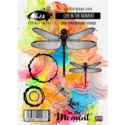 Visible Image Live In The Moment Stamp Set
