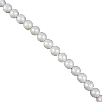 White Freshwater Cultured Nucleated Near Round Pearls Approx 11-12mm, 38cm Strand