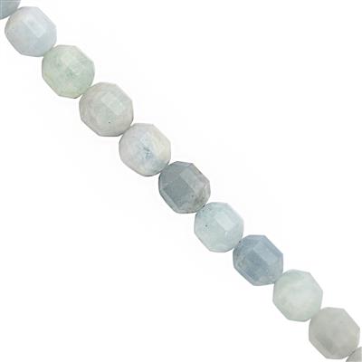 250cts Aquamarine Faceted Drum Approx 9x10mm Beads Necklace with Lobster Lock & Extension -18