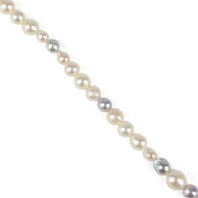 Multi-Colour Akoya Pearls Approx 5 to 10mm, 38cm Strand 