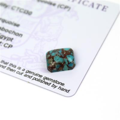 4.3cts Egyptian Turquoise 12x10mm Octagon  (CP)