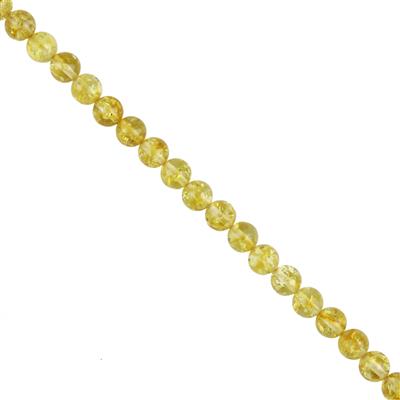 Debbie Kershaw Amber Collection - Honey Amber, Approx 6mm, 38cm Strand 