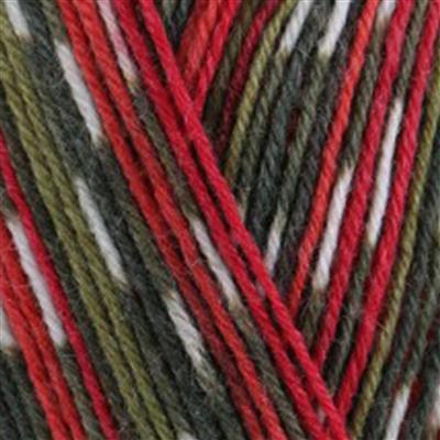 WYS Holly Berry Signature 4 ply yarn 100g