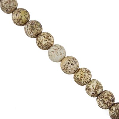 150cts Agate Plain Rounds, Approx 8mm, 37cm Strand