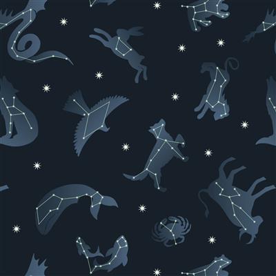 Lewis & Irene Space Glow Constellations Fabric 0.5m