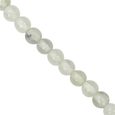 37cts Prehnite Smooth Round Approx 4mm, 27cm Strand 