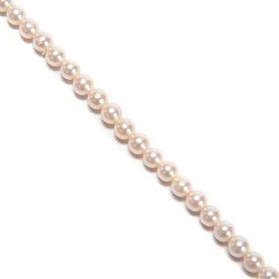White 4mm Shell Pearls, 38cm Strand
