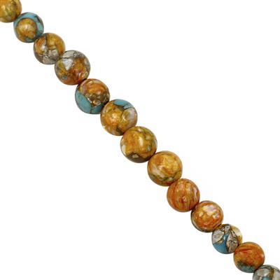 24cts Spiny Oyster Turquoise Plain Round Approx 2.5 to 6mm, 20cm Strand 