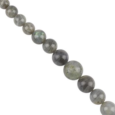 540cts Labradorite Graduated Approx Rounds Approx 10 to 20mm, 38cm Strand