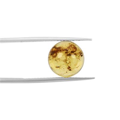 2.4cts Caribbean Amber 12x12mm Round (N)