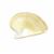 Golden Polished South Sea Pearl Oyster Shell Approx 13x10mm (1pc)