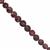 20cts Ruby Faceted Coin Approx 4 to 7mm, 10cm Strand
