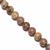 360cts Chinese Picture Jasper Plain Rounds Approx 12mm, 38cm Strand