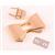 Debbie Shore Bow Twist Lock Gold