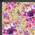 Kaffe Fassett Collective Gradi Floral Lime Fabric 0.5m