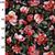Black Red Floral Jersey Print Fabric 0.5m