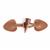 Brown Faux Leather Tapered Toggle Clothing Fastener