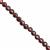 40cts Bharat Garnet Smooth Coin Approx 5mm, 20cm Strand
