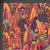 Kaffe Fassett Collective Feathers in Summer Fabric 0.5m