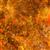 Dan Morris Evolution Earthscapes Collection Orange Fabric 0.5m