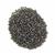 Miyuki Grey Seed Beads 11/0 (24GM/TB)