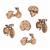 Wooden Buttons Transport Pack Of 6