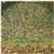 Artists Collection Gustav Klimt Apple Tree Panel 0.46 x 0.46m