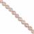 180cts Coated Rose Quartz Faceted Rounds, Approx. 8mm, 38cm Strand