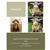 Delphine Brooks Highland Cow Toy Instructions