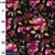 Flowers on Balck Stretch Viscose Jersey Fabric 0.5m