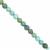 20cts Turquoise Smooth Round Approx 4mm, 20cm Strand