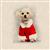 Christmas Maltese Terrier Linen-Look Panel (0.46m x 0.46m)