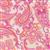 Moda Paisley Rose Pink Paisley Fabric 0.5m