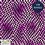Stof Quilters Co-Ordinates Psychedelic Pink Dots Fabric 2.5m Pre-cut Length