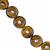 165cts Yellow Tiger's Eye Plain Round Approx 14mm, 36cm Strand