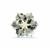 3.9cts  Prasiolite 10x10mm Snowflake  (I)